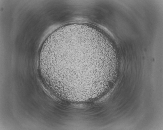 X0000080781413200701021136