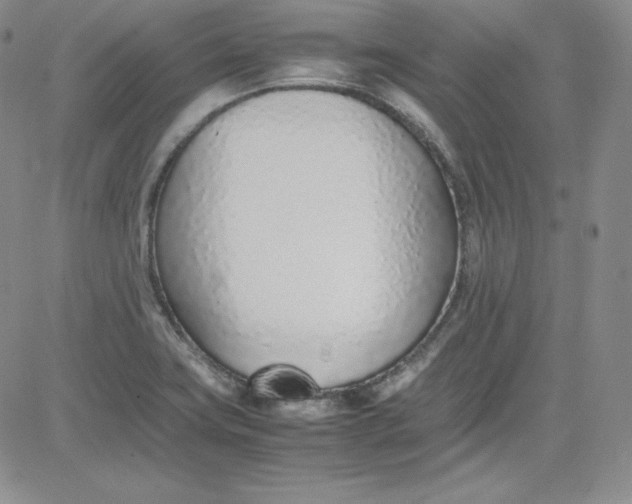 X0000080781419200701021136