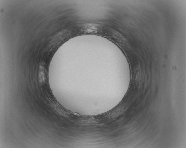 X0000080781442200701021135