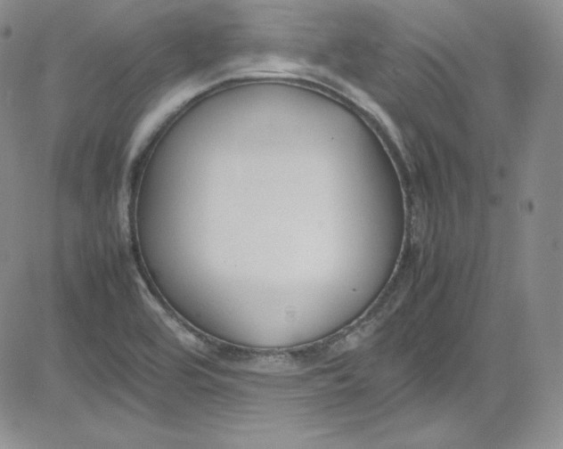 X0000080781464200701021135