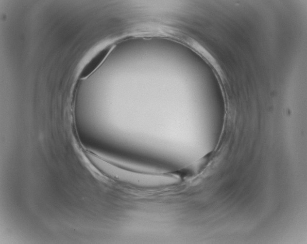X0000080781485200701021135