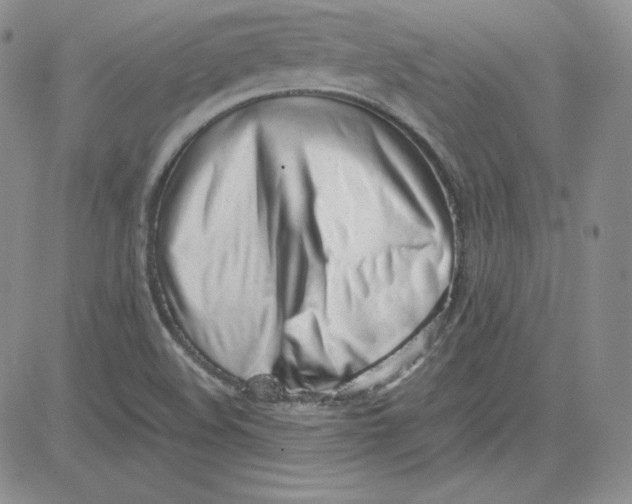 X0000080781508200701021134