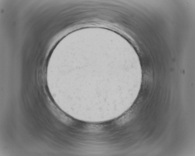 X0000080781514200701021134