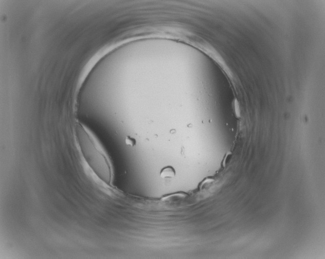 X0000080781532200701021134