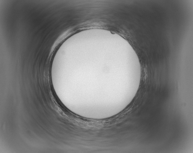 X0000080780004200701051339
