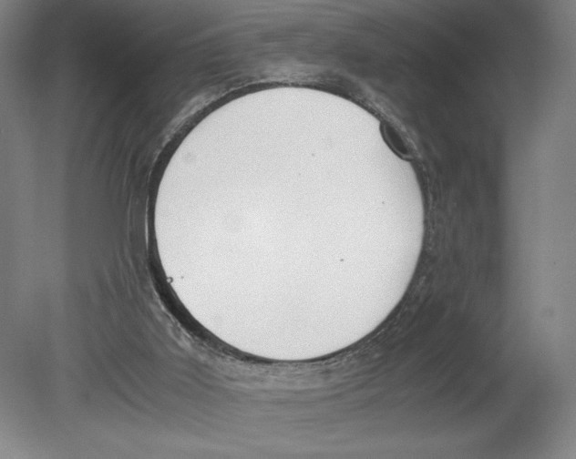 X0000080780011200701051339