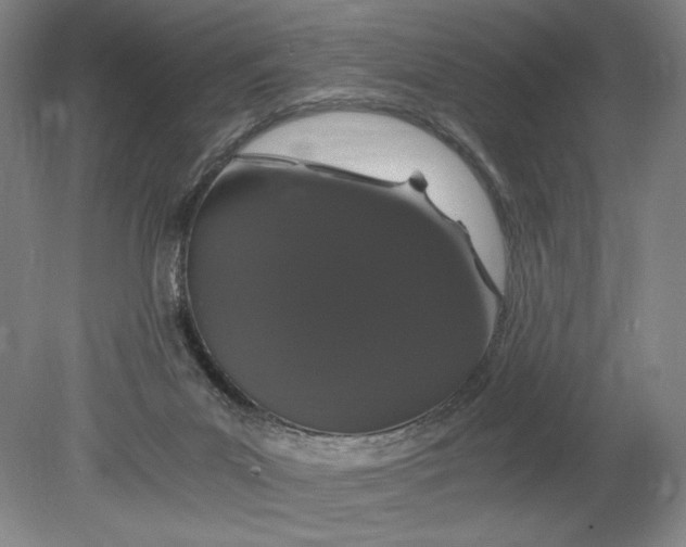 X0000080780023200701051339