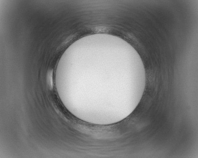 X0000080780028200701051339
