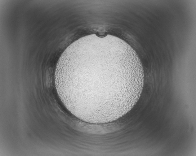 X0000080780030200701051339