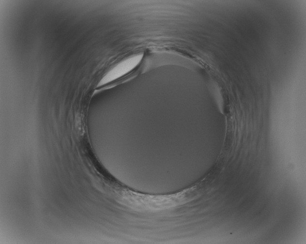 X0000080780031200701051339