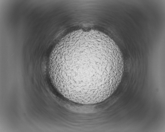 X0000080780032200701051339
