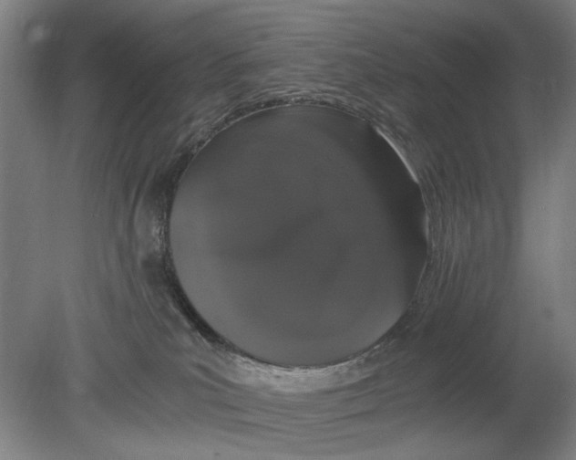 X0000080780039200701051339