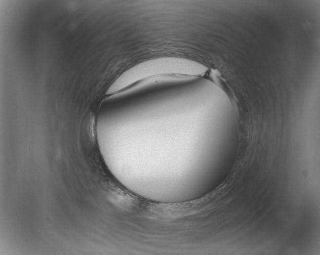 X0000080780041200701051339