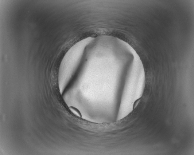 X0000080780043200701051339