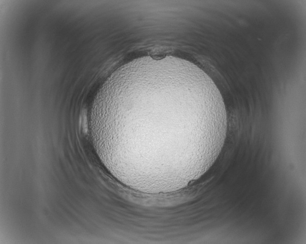 X0000080780046200701051339