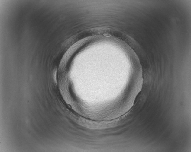 X0000080780047200701051339