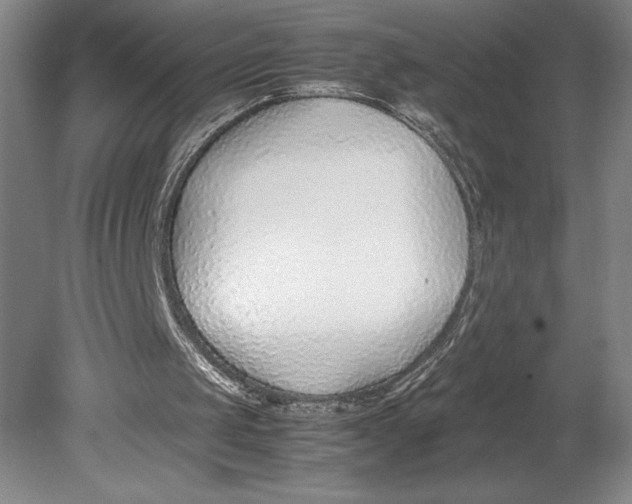 X0000080780049200701051338