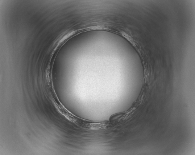 X0000080780050200701051338