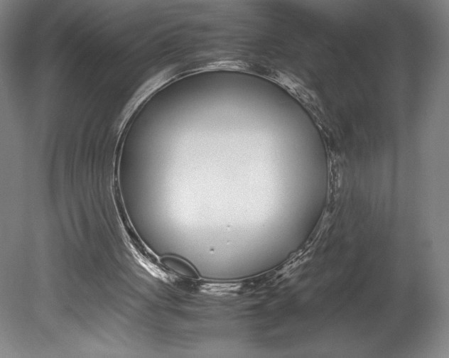 X0000080780051200701051338