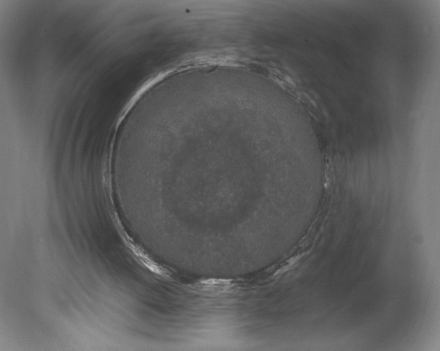 X0000080780052200701051338