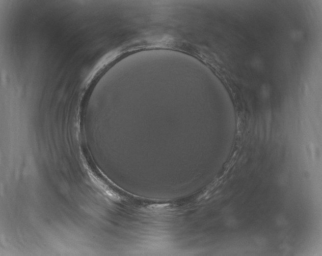X0000080780054200701051338