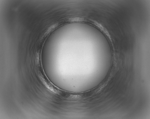 X0000080780057200701051338