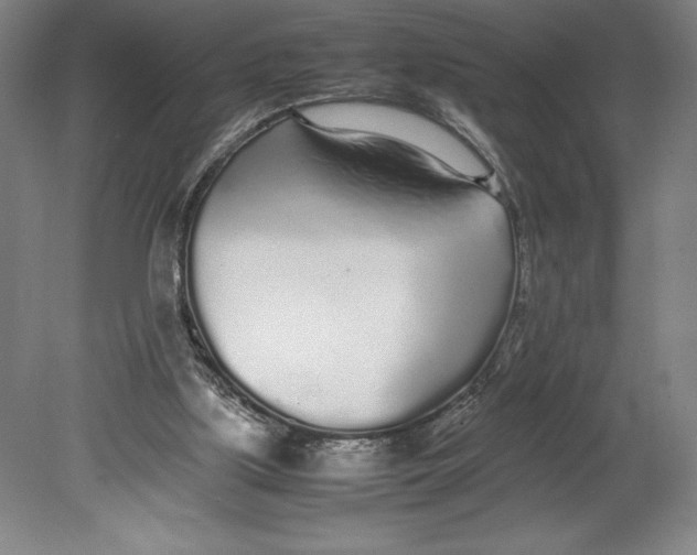 X0000080780059200701051338