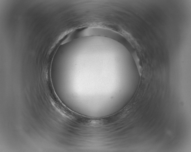 X0000080780060200701051338