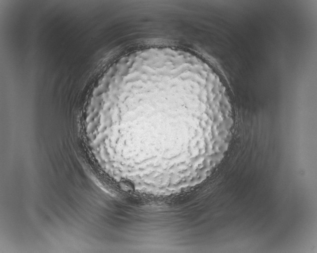 X0000080780061200701051338