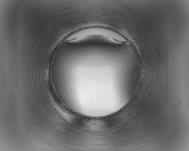 X0000080780063200701051338