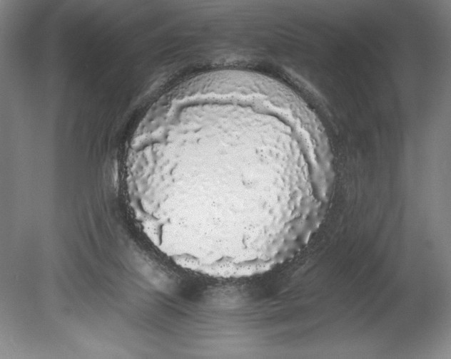 X0000080780067200701051338