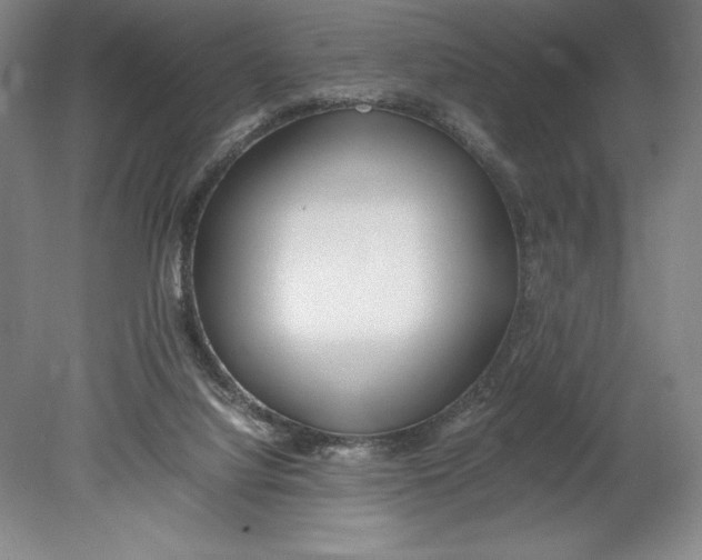 X0000080780068200701051338