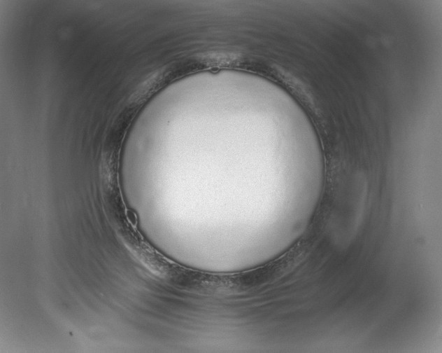 X0000080780069200701051338
