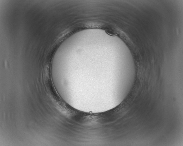 X0000080780071200701051338