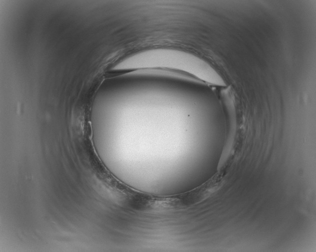 X0000080780072200701051338