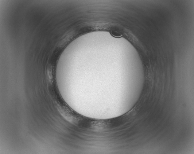 X0000080780074200701051338