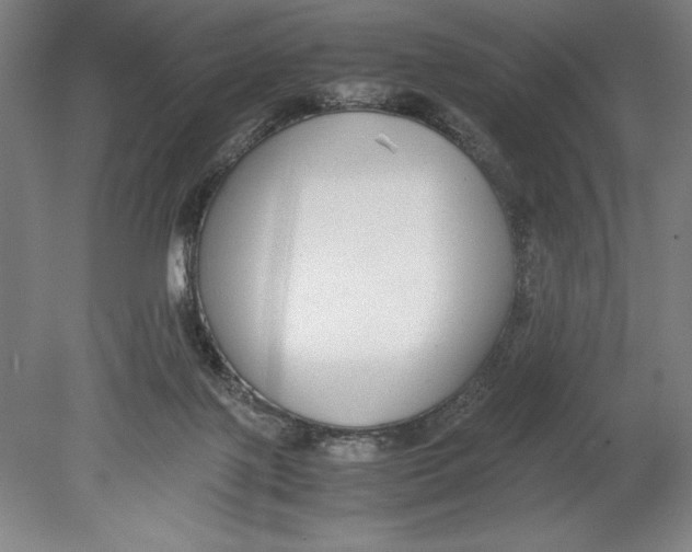 X0000080780075200701051338