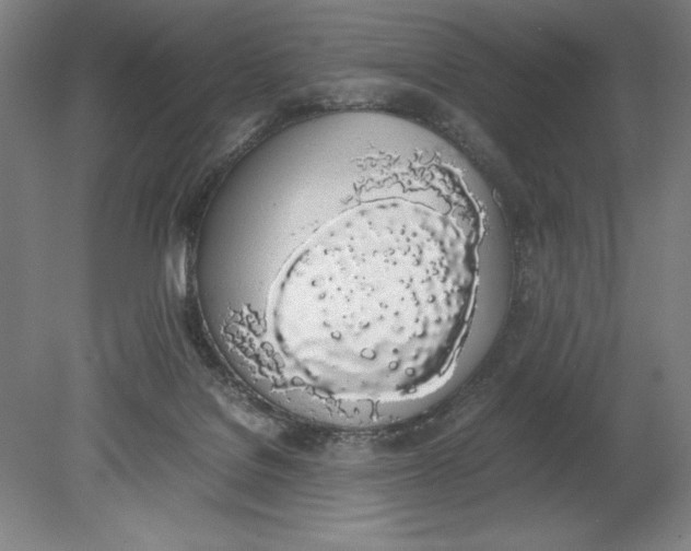 X0000080780076200701051338