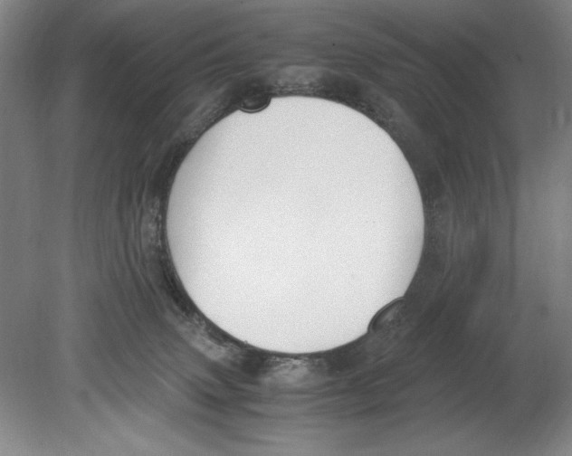 X0000080780083200701051338