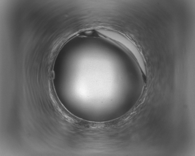 X0000080780097200701051338