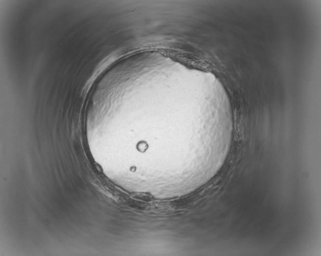 X0000080780099200701051338
