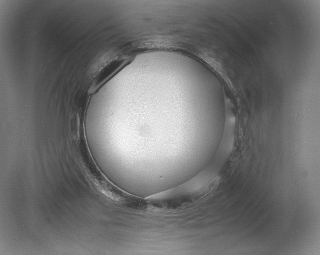 X0000080780109200701051338