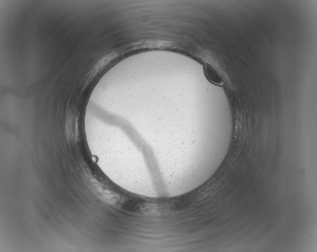 X0000080780110200701051338