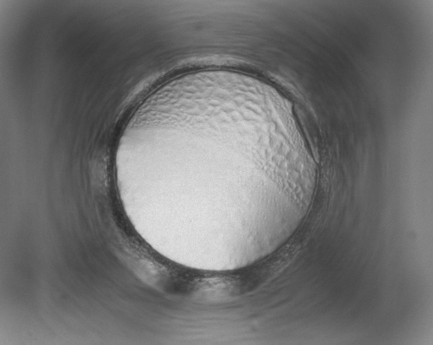 X0000080780111200701051338
