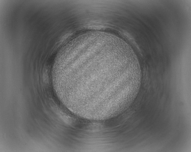 X0000080780114200701051338
