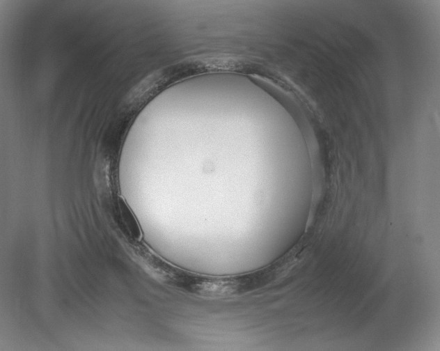 X0000080780117200701051338