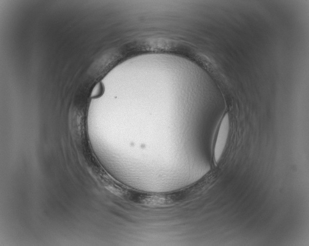 X0000080780123200701051337