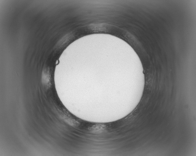 X0000080780124200701051337