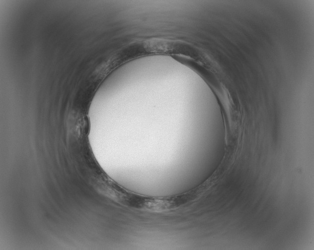 X0000080780125200701051337