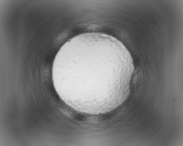 X0000080780127200701051337